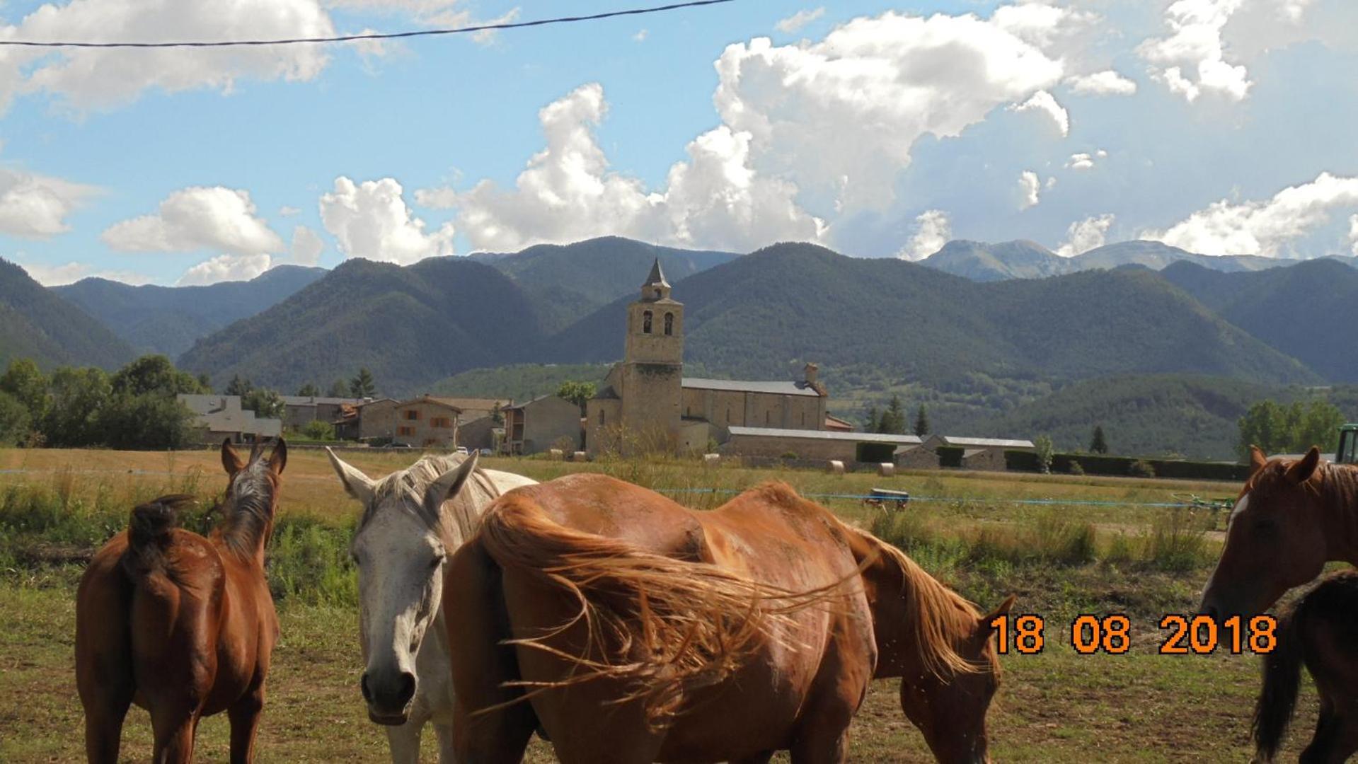 Can Vall Bellver Bellver De Cerdanya Ngoại thất bức ảnh